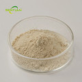 Probiotics Supplement Freeze Dried Lactobacillus Casei