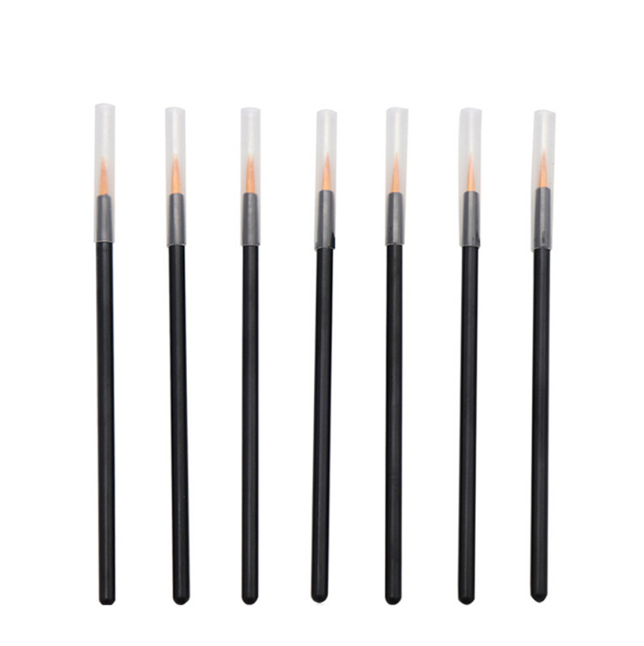 Eyeliner Lip Liner Brush