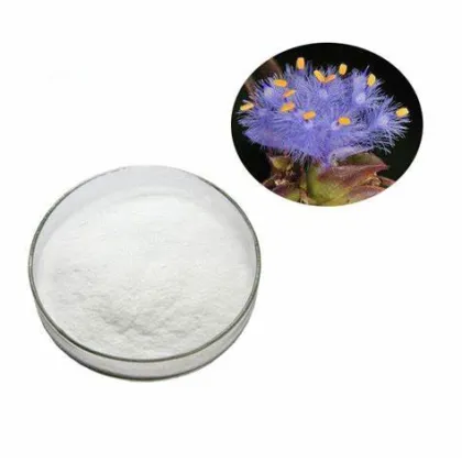Dew Grass Extract Beta Ecdysone Powder
