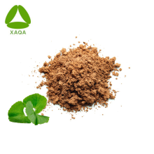 Cápsulas Nature Centella Asiatica Extract Powder 10: 1