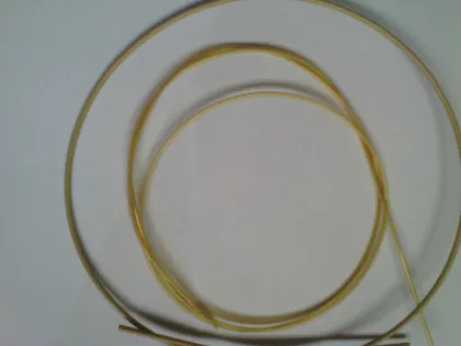 plastic biliary stent delivery