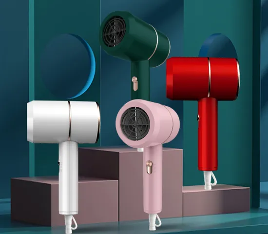 New Heat Cooling Air Household Appliances High Power Professional Hair Dryer Household
