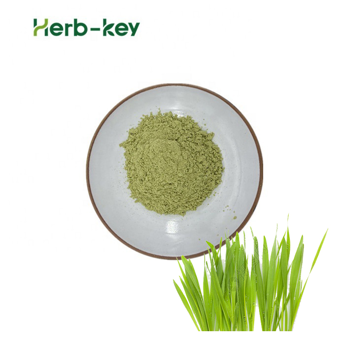 Poudre de jus d'extrait d'herbe d'orge biologique