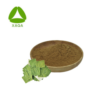Lotus Leaf Extract Pure Nuciferine 4% Powder