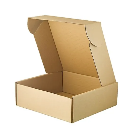 Custom Size Kraft Cardbard Shipping Box