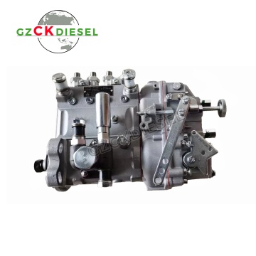 TD226B Diesel Injection Pump Parts - 13021656 B4AD507 BH6AD95R