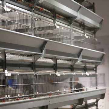 Low Price Poultry Cage - Chicken Coop for Egg Laying