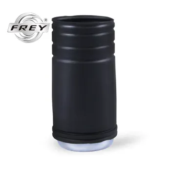 Front Shock Absorber Protective Cover 31336776554 E70