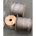 316 ROPE DE VIEUX en acier inoxydable 1x19 10,0 mm