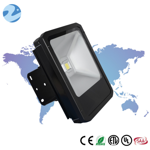 Powerful 100W with High Efficiency Driver Aluminum LED Flood Light