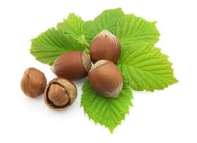 Lipids Hazelnut Extract Plant Sterol Powder