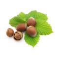 Lipids Hazelnut Extract Plant Sterol Powder