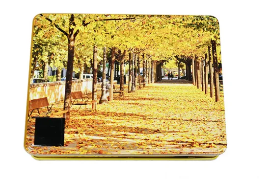 The Nostalgic Tin Case with 4c Printing