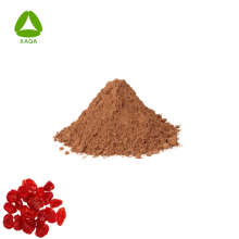 Natural Cornus Officinalis Fruit Extract Male Sex Enhancing