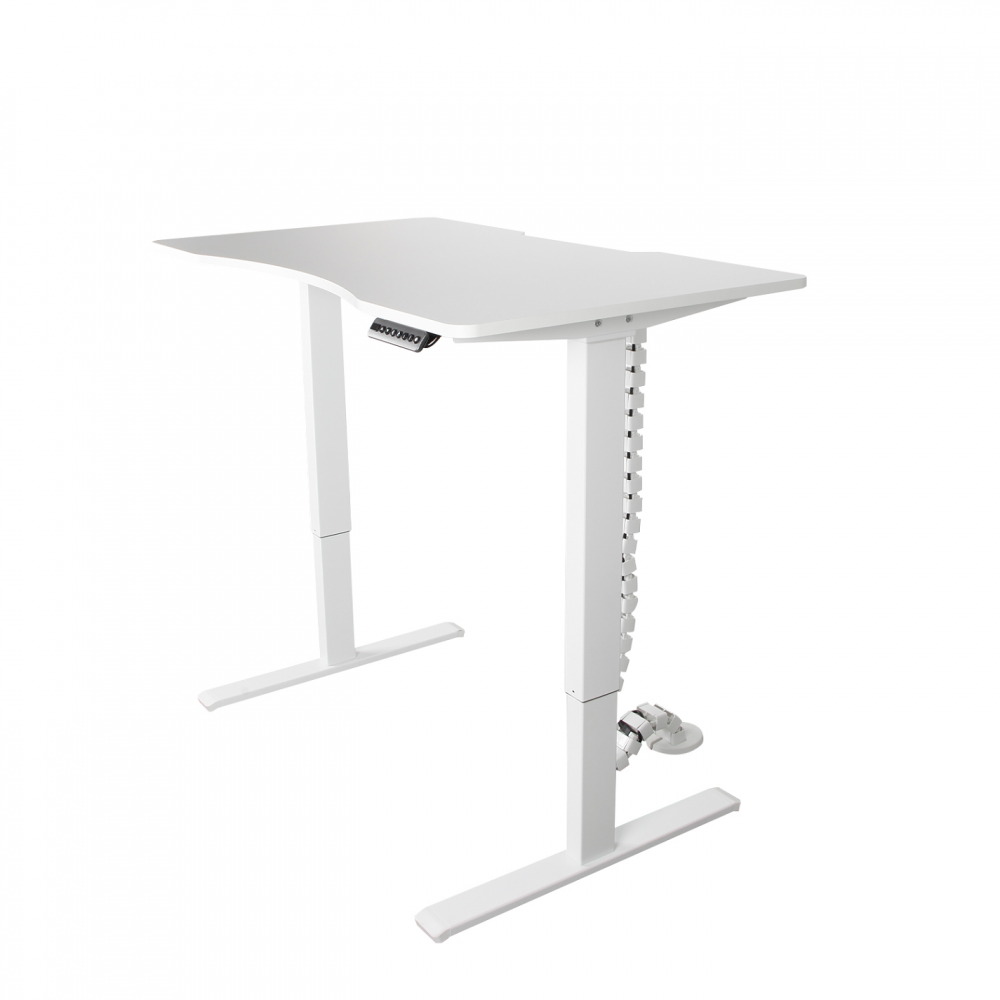 Laptop Electric Standing Desk for Office