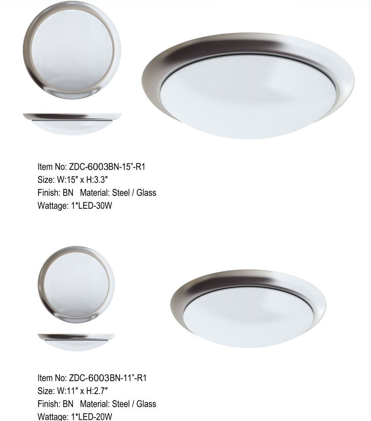 Indoor Ceiling Light