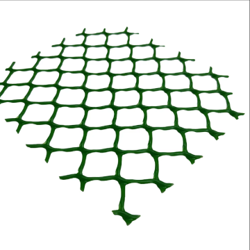 Plastic Geonet for Soil Erosion Control and Road Reinforcement