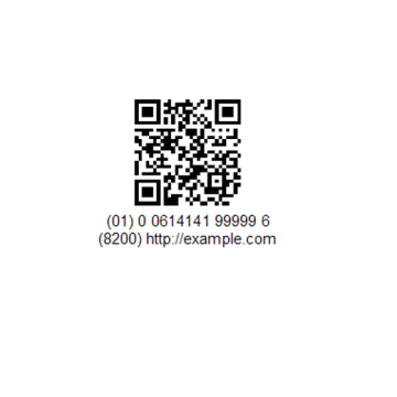 GS1 QR Code Scanner for sale