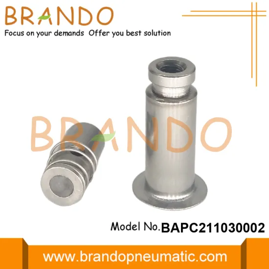 Water Purifier RO Solenoid Valve Part Armature Plunger