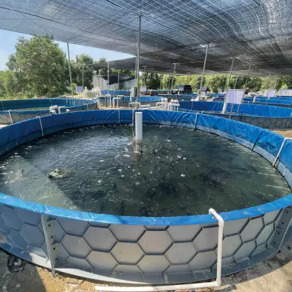 YUTANK Aquaculture Supplies: Tilapia, Catfish, and Shrimp Farming Equipment