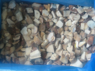 Frozen Mushroom, dried Mushroom