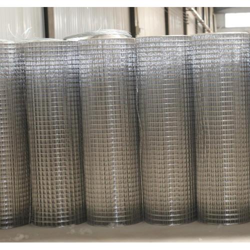 5mm*5mm electro galvanized welded wire mesh
