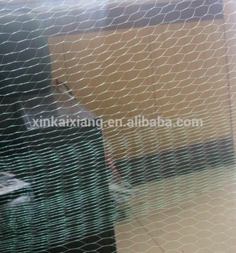 Low price Anti-bird netting/Plastic Tensile Net (Manufactory)
