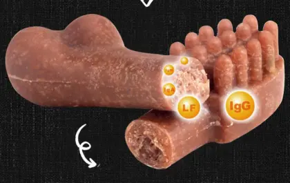 Pet grinding teeth stick