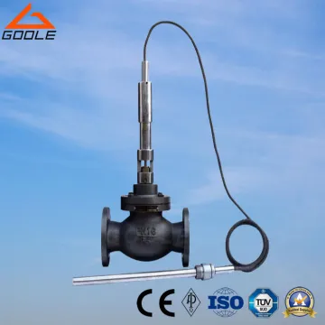 Self-Actuated Temperature Control Valve (GAZZWP)