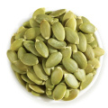 cheaper price pumpkin seed dried kernels