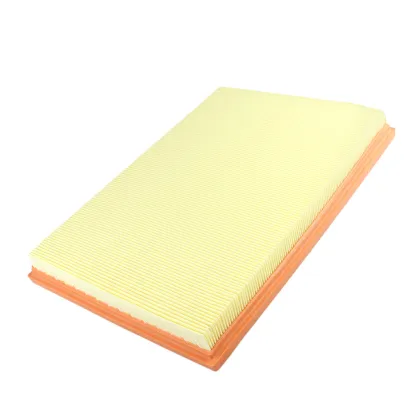 Factory Auto Air Filters for BMW - 13717548888 13717548885 Sport Air Filter