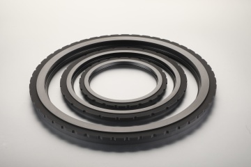 Carbon Graphite Dry Gas Seal Ring