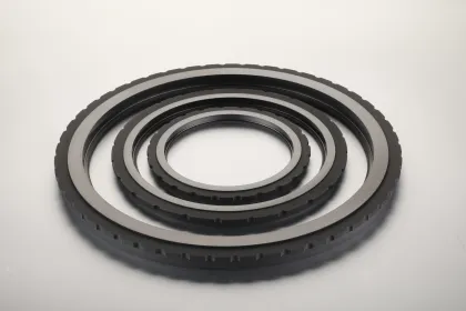 Mechanical Graphite Seals for Industrial Dry Gas Seal