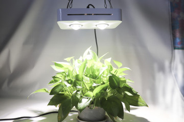 LED Grow lights Walmart 300w