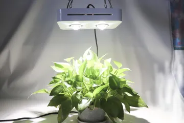 LED Grow lights Walmart 300w