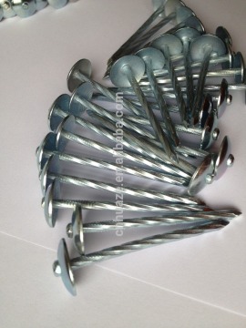 Zinc and aluminum coated roofing nails factory in Shijiazhuang