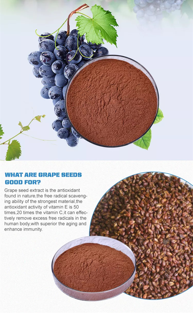 What Is The Grape Seed Extract