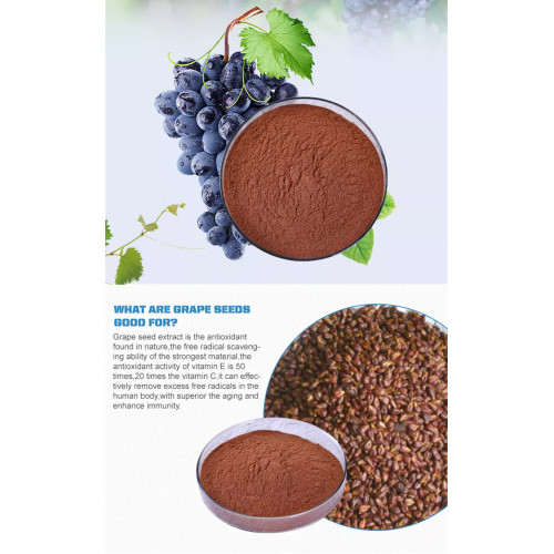 Natural Grape Seed Extract OPC 95%