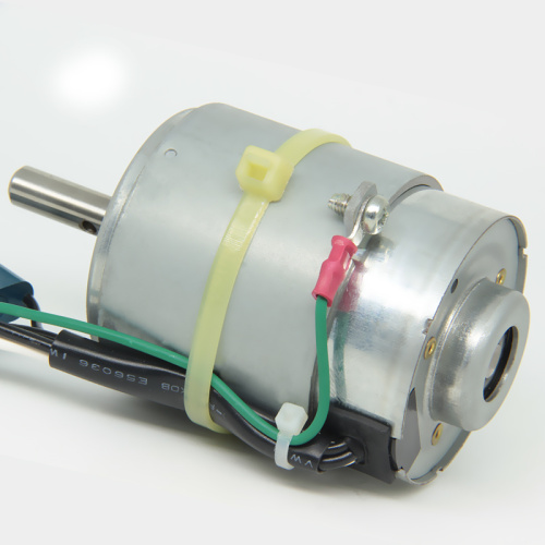 FP-622-03AZ-CF Carbon Brush Motor - MAINTEX