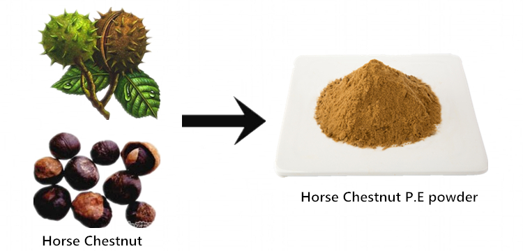 Chestnut X Lite Купить