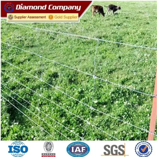 Anping Hot-dipped Galvanized Horse Fence Mesh Factory