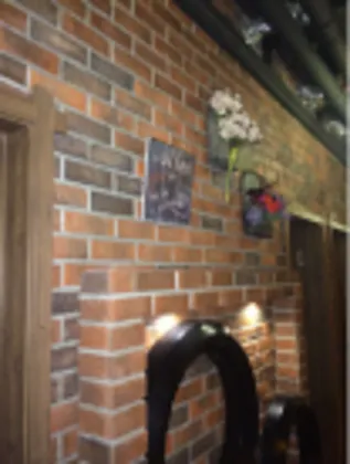 Mosaic art bricks for entrance halls