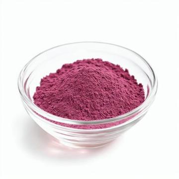 High Quality Instant Pomegranate Fruit Juice Powder