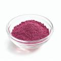 High Quality Instant Pomegranate Fruit Juice Powder