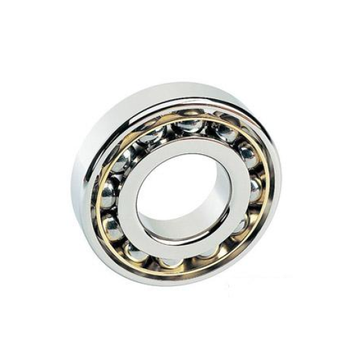 Single Row Deep Groove Ball Bearing (6044)