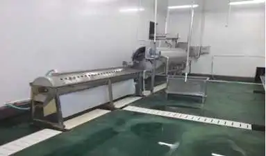 Feet processing equipment for slaughterhouse equipment