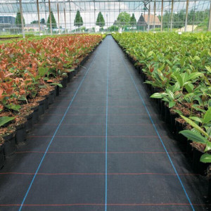 Black Woven Polypropylene Ground Cover