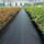 Black Woven Polypropylene Ground Cover