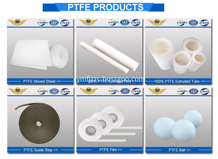 ptfe guide ring
