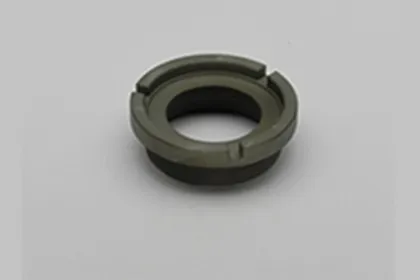 DNE Insulating Ring Low Power